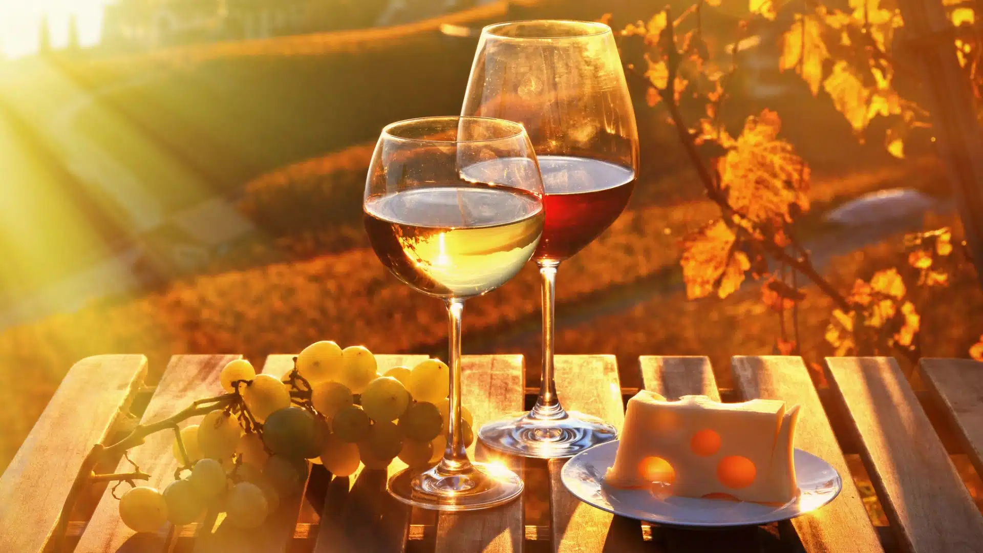 celebracion-evento-otoño